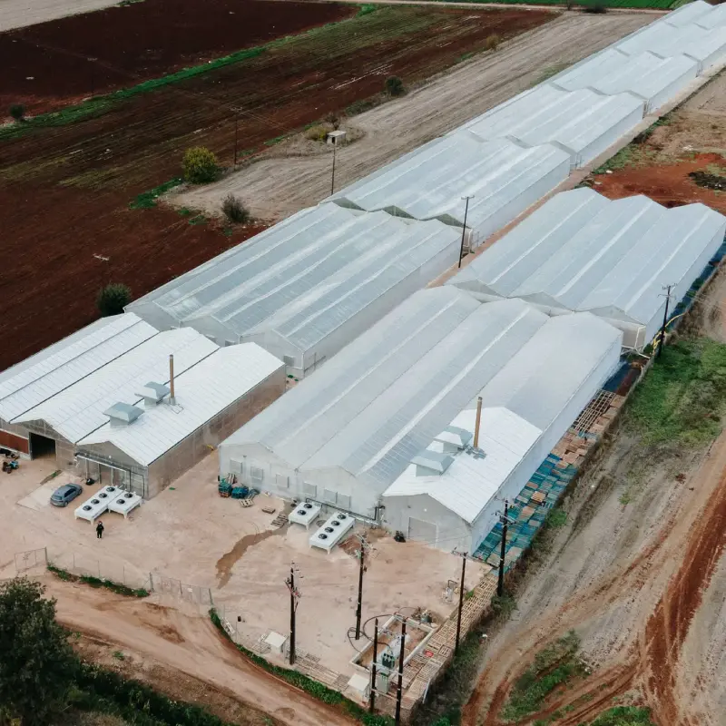 Κατασκευή υδροπονικών θερμοκηπίων με ΣΥΘΗΑ Pk energy